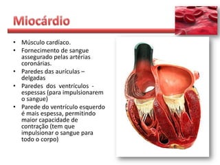 • Músculo cardíaco.
• Fornecimento de sangue
  assegurado pelas artérias
  coronárias.
• Paredes das aurículas –
  delgadas
• Paredes dos ventrículos -
  espessas (para impulsionarem
  o sangue)
• Parede do ventrículo esquerdo
  é mais espessa, permitindo
  maior capacidade de
  contração (tem que
  impulsionar o sangue para
  todo o corpo)
 