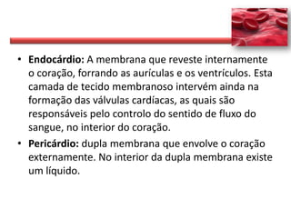 • Endocárdio: A membrana que reveste internamente
  o coração, forrando as aurículas e os ventrículos. Esta
  camada de tecido membranoso intervém ainda na
  formação das válvulas cardíacas, as quais são
  responsáveis pelo controlo do sentido de fluxo do
  sangue, no interior do coração.
• Pericárdio: dupla membrana que envolve o coração
  externamente. No interior da dupla membrana existe
  um líquido.
 