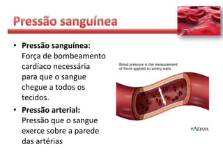 • Pressão sanguínea:
  Força de bombeamento
  cardíaco necessária
  para que o sangue
  chegue a todos os
  tecidos.
• Pressão arterial:
  Pressão que o sangue
  exerce sobre a parede
  das artérias
 