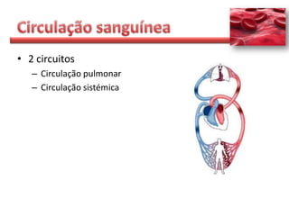 • 2 circuitos
   – Circulação pulmonar
   – Circulação sistémica
 