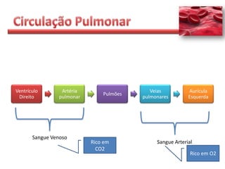 Ventrículo       Artéria                    Veias          Aurícula
                               Pulmões
 Direito        pulmonar                 pulmonares        Esquerda




       Sangue Venoso
                           Rico em            Sangue Arterial
                             CO2
                                                            Rico em O2
 