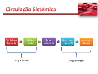 Ventrículo         Artéria     Todo o    Veias cavas      Aurícula
Esquerdo           Aorta     organismo   (sup e inf)       Direita




       Sangue Arterial                         Sangue Venoso
 
