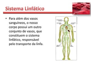 • Para além dos vasos
  sanguíneos, o nosso
  corpo possui um outro
  conjunto de vasos, que
  constituem o sistema
  linfático, responsável
  pelo transporte da linfa.
 