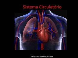 Sistema Circulatório




    Professora: Tamires de Lima
 