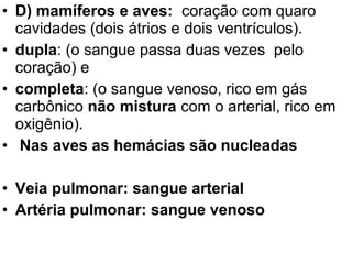 • D) mamíferos e aves: coração com quaro
  cavidades (dois átrios e dois ventrículos).
• dupla: (o sangue passa duas vezes pelo
  coração) e
• completa: (o sangue venoso, rico em gás
  carbônico não mistura com o arterial, rico em
  oxigênio).
• Nas aves as hemácias são nucleadas

• Veia pulmonar: sangue arterial
• Artéria pulmonar: sangue venoso
 