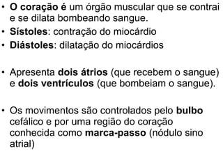 • O coração é um órgão muscular que se contrai
  e se dilata bombeando sangue.
• Sístoles: contração do miocárdio
• Diástoles: dilatação do miocárdios

• Apresenta dois átrios (que recebem o sangue)
  e dois ventrículos (que bombeiam o sangue).

• Os movimentos são controlados pelo bulbo
  cefálico e por uma região do coração
  conhecida como marca-passo (nódulo sino
  atrial)
 