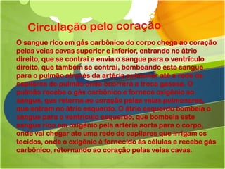 O sangue rico em gás carbônico do corpo chega ao coração
pelas veias cavas superior e inferior, entrando no átrio
direito, que se contrai e envia o sangue para o ventrículo
direito, que também se contrai, bombeando este sangue
para o pulmão através da artéria pulmonar até a rede de
capilares do pulmão onde ocorrerá a troca gasosa. O
pulmão recebe o gás carbônico e fornece oxigênio ao
sangue, que retorna ao coração pelas veias pulmonares,
que entram no átrio esquerdo. O átrio esquerdo bombeia o
sangue para o ventrículo esquerdo, que bombeia este
sangue rico em oxigênio pela artéria aorta para o corpo,
onde vai chegar ate uma rede de capilares que irrigam os
tecidos, onde o oxigênio é fornecido ás células e recebe gás
carbônico, retornando ao coração pelas veias cavas.
 