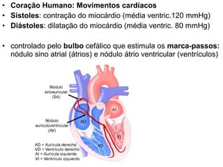 • Coração Humano: Movimentos cardíacos
• Sístoles: contração do miocárdio (média ventric.120 mmHg)
• Diástoles: dilatação do miocárdio (média ventric. 80 mmHg)

• controlado pelo bulbo cefálico que estimula os marca-passos:
  nódulo sino atrial (átrios) e nódulo átrio ventricular (ventrículos)
 