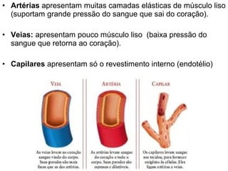 • Artérias apresentam muitas camadas elásticas de músculo liso
  (suportam grande pressão do sangue que sai do coração).

• Veias: apresentam pouco músculo liso (baixa pressão do
  sangue que retorna ao coração).

• Capilares apresentam só o revestimento interno (endotélio)
 