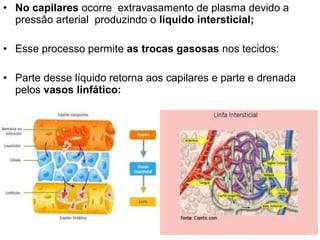 • No capilares ocorre extravasamento de plasma devido a
  pressão arterial produzindo o líquido intersticial;

• Esse processo permite as trocas gasosas nos tecidos:

• Parte desse líquido retorna aos capilares e parte e drenada
  pelos vasos linfático:
 