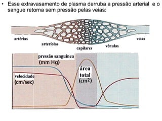 • Esse extravasamento de plasma derruba a pressão arterial e o
  sangue retorna sem pressão pelas veias:
 