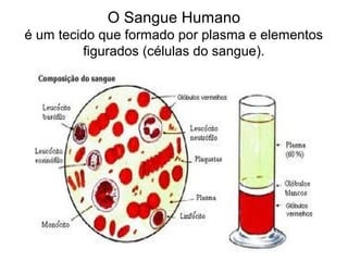 O Sangue Humano
é um tecido que formado por plasma e elementos
         figurados (células do sangue).
 