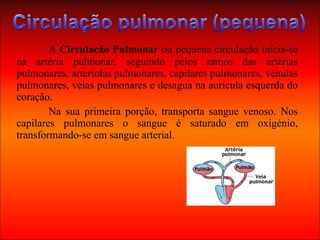 A Circulação Pulmonar ou pequena circulação inícia-se
na artéria pulmonar, seguindo pelos ramos das artérias
pulmonares, arteríolas pulmonares, capilares pulmonares, vénulas
pulmonares, veias pulmonares e desagua na aurícula esquerda do
coração.
Na sua primeira porção, transporta sangue venoso. Nos
capilares pulmonares o sangue é saturado em oxigénio,
transformando-se em sangue arterial.
 