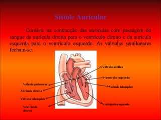 Sístole Auricular
Consiste na contracção das aurículas com passagem do
sangue da aurícula direita para o ventrículo direito e da aurícula
esquerda para o ventrículo esquerdo. As válvulas semilunares
fecham-se.
Válvula tricúspide
Válvula pulmonar
Válvula bicúspide
Válvula aórtica
Ventrículo
direito
Aurícula direita
Ventrículo esquerdo
Aurícula esquerda
 