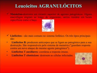 Leucócitos AGRANULÓCITOS
 Monócitos-destroem um número superior de agentes patogénicos. Alguns
macrófagos migram ao longo do organismo, outros residem em locais
específicos como o baço.
 Linfócitos - são mais comuns no sistema linfático. Os três tipos principais
são:
• Linfócitos B: produzem anticorpos que se ligam ao patogénico para a sua
destruição. São responsáveis pelo sistema de memória ("guardam resposta
contra um novo ataque do mesmo agente patogénico").
• Linfócitos T auxiliares: coordena a resposta imune.
• Linfócitos T citotóxicos: destroem as células infectadas.
 