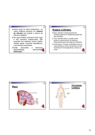 12
Assim como os vasos sangüíneos , os
vasos linfáticos possuem um sistema
de válvulas que impede o retorno da
linfa aos capilares.
Os vasos linfático possuem fundo cego
e não possuem anastomoses. São
ausentes nos sistemas nervos central,
medula óssea, músculos esqueléticos,
e em tecidos avasculares.
Estão associados a estruturas
especializadas denominadas
linfonodos.
Órgãos Linfóides.
Baço: Situado no lado esquerdo da
cavidade abdominal. Responsável pela lise
das hemácias
Timo: Situado sobre o coração, parte
torácico e parte próximo ao pescoço.
Responsável pela maturação dos linfócitos
Linfonodos e Tonsilas: localizados entre os
vasos linfáticos, servem de barreira ou filtro
à entrada de microorganismos, toxinas no
corpo.
Baço
Circulação
Linfática
 
