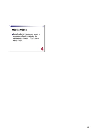13
Medula Óssea
Localizada no interior dos ossos e
responsável pela produção de
células sangüíneas ( Eritrócitos e
Leucócitos)
 