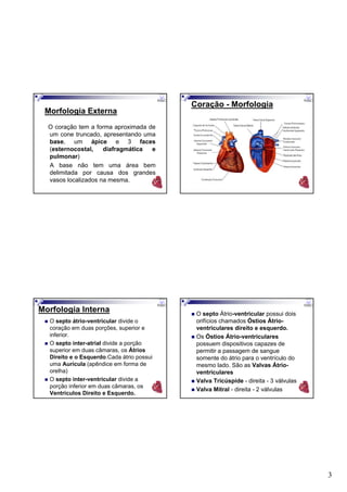 3
Morfologia Externa
O coração tem a forma aproximada de
um cone truncado, apresentando uma
base, um ápice e 3 faces
(esternocostal, diafragmática e
pulmonar)
A base não tem uma área bem
delimitada por causa dos grandes
vasos localizados na mesma.
Coração - Morfologia
Morfologia Interna
O septo átrio-ventricular divide o
coração em duas porções, superior e
inferior.
O septo inter-atrial divide a porção
superior em duas câmaras, os Átrios
Direito e o Esquerdo.Cada átrio possui
uma Aurícula (apêndice em forma de
orelha)
O septo inter-ventricular divide a
porção inferior em duas câmaras, os
Ventrículos Direito e Esquerdo.
O septo Átrio-ventricular possui dois
orifícios chamados Óstios Átrio-
ventriculares direito e esquerdo.
Os Óstios Átrio-ventriculares
possuem dispositivos capazes de
permitir a passagem de sangue
somente do átrio para o ventrículo do
mesmo lado. São as Valvas Átrio-
ventriculares
Valva Tricúspide - direita - 3 válvulas
Valva Mitral - direita - 2 válvulas
 