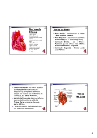 4
Morfologia
Interna
1. Átrio Direito
2. Valva Tricúspide
3. Ventrículo Direito (via de
entrada)
4. Ventrículo Direito (via de
saída)
5. Valva Pulmonar
6. Artéria Pulmonar
7. Átrio Esquerdo
8. Septo Interventricular
9. Ventrículo esquerdo
10. Valva Mitral
11. Aorta
Vasos da Base
Átrio Direito - desembocam as Veias
Cavas Superior e Inferior
Átrio Esquerdo - desembocam as Veias
Pulmonares (são 4 - 2 de cada pulmão)
Ventrículo Direito - sai o Tronco
Pulmonar que se bifurca nas Artérias
Pulmonares Direita e Esquerda
Ventrículo Esquerdo - Artéria Aorta
(Arco Aórtico)
Ventrículo Direito - no orifício de saída
do Tronco Pulmonar existe um
dispositivo que impede o retorno do
sangue por ocasião do enchimento do
ventrículo, é a Valva Pulmonar.
Ventrículo Esquerdo, da mesma forma
que no direito existe na saída da
Artéria Aorta uma valva chamada
Valva Aórtica.
Cada uma dessas valva é constituída
por 3 válvulas semilunares.
Vasos
da Base
 