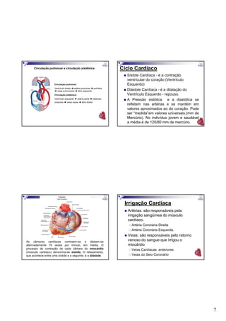 7
Circulação pulmonar e circulação sistêmica
Circulação pulmonar:
Ventrículo direito artéria pulmonar pulmões
veias pulmonares átrio esquerdo.
Circulação sistêmica:
Ventrículo esquerdo artéria aorta sistemas
corporais veias cavas átrio direito.
Ciclo Cardíaco
Sístole Cardíaca - é a contração
ventrícular do coração (Ventrículo
Esquerdo)
Diástole Cardíaca - é a dilatação do
Ventrículo Esquerdo - repouso.
A Pressão sistólica e a diastólica se
refletem nas artérias e se mantém em
valores aproximados ao do coração. Pode
ser “medida”em valores universais.(mm de
Mercúrio). No indivíduo jovem e saudável
a média é de 120/80 mm de mercúrio.
As câmaras cardíacas contraem-se e dilatam-se
alternadamente 70 vezes por minuto, em média. O
processo de contração de cada câmara do miocárdio
(músculo cardíaco) denomina-se sístole. O relaxamento,
que acontece entre uma sístole e a seguinte, é a diástole.
Irrigação Cardíaca
Artérias: são responsáveis pela
irrigação sangüínea do músculo
cardíaco.
Artéria Coronária Direita
Artéria Coronária Esquerda.
Veias: são responsáveis pelo retorno
venoso do sangue que irrigou o
miocárdio
Veias Cardíacas anteriores
Veias do Seio Coronário
 