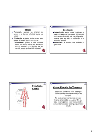9
Ramos
Terminais: quando ao originar os
ramos , o tronco principal deixa de
existir
Colaterais: a artéria emite ramos sem
deixar de existir o tronco principal.
Recorrente: quando o ramo colateral
forma um ângulo obtuso em relação ao
tronco principal e o sangue flui em
sentido oposto ao da artéria principal
Localização
Superficiais: estão mais próximas à
pele.Um exemplo de Artéria Superficial
com aplicação médica é a artéria radial,
usada para se aferir a pulsação e a
pressão arterial.
Profundas: a maioria das artérias é
profunda.
Circulação
Arterial
Veia e Circulação Venosas
São tubos cilíndricos onde o sangue
circula centriptamente em relação ao
coração.
No cadáver apresentam-se com cor
branca-amarelada, no vivente têm cor
azul-escura porque suas finas paredes
deixam transparecer o sangue que nelas
circula.
 