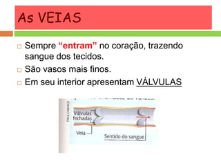 As VEIAS
 Sempre “entram” no coração, trazendo
sangue dos tecidos.
 São vasos mais finos.
 Em seu interior apresentam VÁLVULAS
 