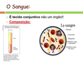 O Sangue:
 É tecido conjuntivo não um órgão!!
 Composição:
 