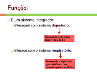 Função:
 É um sistema integrador:
 Interagem com sistema digestório;
 Interage com o sistema respiratório.
Transporta nutrientes
absorvidos no I.D
Transporta oxigênio e
gás carbônico dos
pulmões para as células
 