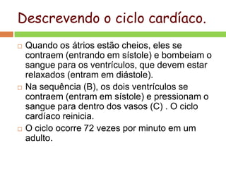 Descrevendo o ciclo cardíaco.
 Quando os átrios estão cheios, eles se
contraem (entrando em sístole) e bombeiam o
sangue para os ventrículos, que devem estar
relaxados (entram em diástole).
 Na sequência (B), os dois ventrículos se
contraem (entram em sístole) e pressionam o
sangue para dentro dos vasos (C) . O ciclo
cardíaco reinicia.
 O ciclo ocorre 72 vezes por minuto em um
adulto.
 