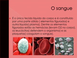 

É o único tecido líquido do corpo e é constituído
por uma parte sólida ( elementos figurados) e
outra líquida( plasma). Dentre os elementos
figurados estão as hemácias (levam O2 no corpo),
os leucócitos( defendem o organismo) e as
plaquetas( coagulam o sangue).

 