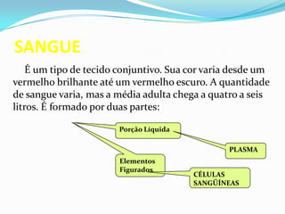 SANGUE
É um tipo de tecido conjuntivo. Sua cor varia desde um
vermelho brilhante até um vermelho escuro. A quantidade
de sangue varia, mas a média adulta chega a quatro a seis
litros. É formado por duas partes:
Porção Líquida
PLASMA
Elementos
Figurados
CÉLULAS
SANGÜÍNEAS
 