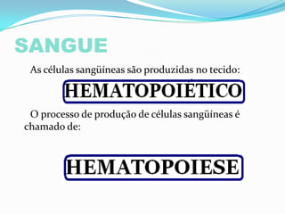 SANGUE
As células sangüíneas são produzidas no tecido:
O processo de produção de células sangüíneas é
chamado de:
 