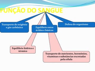 Transporte de nutrientes, hormônios,
vitaminas e substâncias excretadas
pela célula
Equilíbrio hídrico e
térmico
FUNÇÃO DO SANGUE
Transporte de oxigênio
e gás carbônico
Defesa do organismo
Equilíbrio entre
ácidos e básicos
 