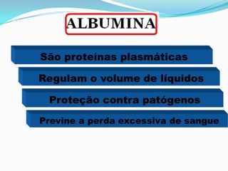 São proteínas plasmáticas
Regulam o volume de líquidos
Proteção contra patógenos
Previne a perda excessiva de sangue
 