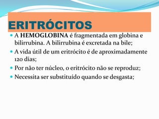 ERITRÓCITOS
 A HEMOGLOBINA é fragmentada em globina e
bilirrubina. A bilirrubina é excretada na bile;
 A vida útil de um eritrócito é de aproximadamente
120 dias;
 Por não ter núcleo, o eritrócito não se reproduz;
 Necessita ser substituído quando se desgasta;
 