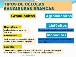 PROF ENF GLEIDSON
TIPOS DE CÉLULAS
SANGÜÍNEAS BRANCAS
Granulócitos Agranulócitos
Neutrófilos
Eosinófilos
Basófilos
Papel mais importante é a
fagocitose.
Destroem certos parasitas, e torna-
se mais numerosos nas alergias.
Desempenha papel na resposta inflamatória, primariamente por
meio de liberação de histamina. Também libera heparina.
Monócitos
Linfócitos
Desempenha papel na resposta Imune
Assim como o neutrófilo o monócito é
fagocitário.
 