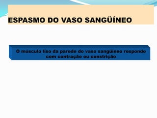 ESPASMO DO VASO SANGÜÍNEO
O músculo liso da parede do vaso sangüíneo responde
com contração ou constrição
 