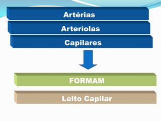 Artérias
Arteríolas
Capilares
FORMAM
Leito Capilar
 