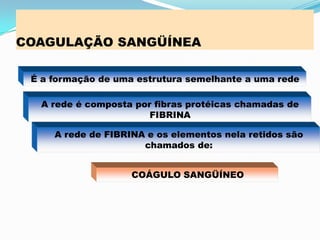 COAGULAÇÃO SANGÜÍNEA
É a formação de uma estrutura semelhante a uma rede
A rede é composta por fibras protéicas chamadas de
FIBRINA
A rede de FIBRINA e os elementos nela retidos são
chamados de:
COÁGULO SANGÜÍNEO
 