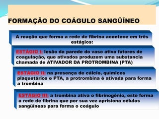 FORMAÇÃO DO COÁGULO SANGÜÍNEO
A reação que forma a rede de fibrina acontece em três
estágios:
ESTÁGIO I: lesão da parede do vaso ativa fatores de
coagulação, que ativados produzem uma substancia
chamada de ATIVADOR DA PROTROMBINA (PTA)
ESTÁGIO II: na presença de cálcio, químicos
plaquetários e PTA, a protrombina é ativada para forma
a trombina
ESTÁGIO III: a trombina ativa o fibrinogênio, este forma
a rede de fibrina que por sua vez aprisiona células
sangüíneas para forma o coágulo
 
