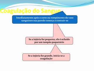 Se a injúria for pequena, ele é ocluído
por um tampão paquetário
Coagulação do Sangue
Imediatamente após o corte ou rompimento do vaso
sanguíneo sua parede começa a contrair-se
Se a injúria for grande, inicia-se a
coagulação
 
