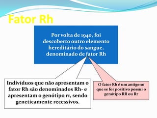 Fator Rh
Por volta de 1940, foi
descoberto outro elemento
hereditário do sangue,
denominado de fator Rh
O fator Rh é um antígeno
que se for positivo possui o
genótipo RR ou Rr
Indivíduos que não apresentam o
fator Rh são denominados Rh- e
apresentam o genótipo rr, sendo
geneticamente recessivos.
 
