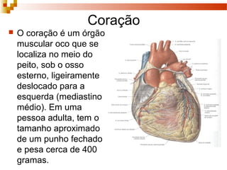 Coração
 O coração é um órgão
muscular oco que se
localiza no meio do
peito, sob o osso
esterno, ligeiramente
deslocado para a
esquerda (mediastino
médio). Em uma
pessoa adulta, tem o
tamanho aproximado
de um punho fechado
e pesa cerca de 400
gramas.
 