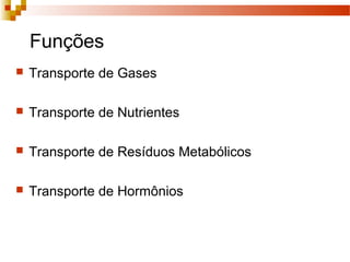 Funções
 Transporte de Gases
 Transporte de Nutrientes
 Transporte de Resíduos Metabólicos
 Transporte de Hormônios
 