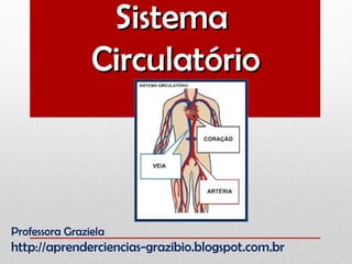 SistemaSistema
CirculatórioCirculatório
Professora Graziela
http://aprenderciencias-grazibio.blogspot.com.br
 