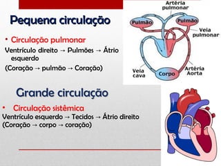 Pequena circulaçãoPequena circulação
• Circulação pulmonar
Ventrículo direito Pulmões Átrio→ →
esquerdo
(Coração pulmão Coração)→ →
• Circulação sistêmica
Ventrículo esquerdo Tecidos Átrio direito→ →
(Coração corpo coração)→ →
 