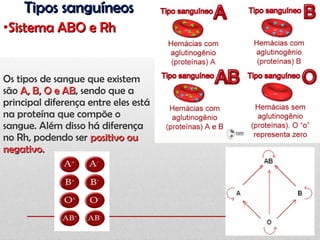 Tipos sanguíneosTipos sanguíneos
•Sistema ABO e RhSistema ABO e Rh
Os tipos de sangue que existem
são A, B, O e ABA, B, O e AB, sendo que a
principal diferença entre eles está
na proteína que compõe o
sangue. Além disso há diferença
no Rh, podendo ser positivo oupositivo ou
negativo.negativo.
 