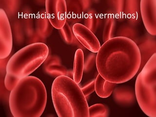 Hemácias (glóbulos vermelhos) 
 