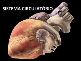SISTEMA CIRCULATÓRIO 
 