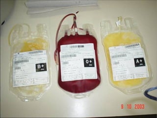 Sistema circulatório